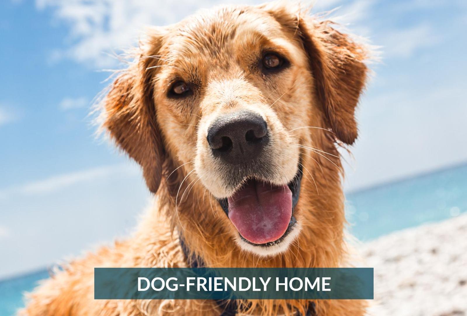 4011 The Dogs House 2 Min Walk To Beach Kitty Hawk Exteriör bild